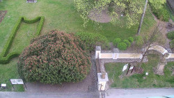 Veselíčko - zahrada u zámku