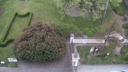 Veselíčko - zahrada u zámku