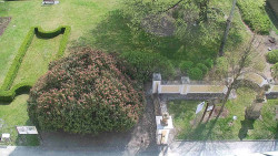 Veselíčko - zahrada u zámku