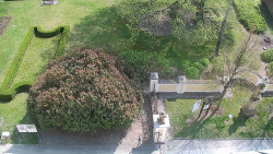 Veselíčko - zahrada u zámku