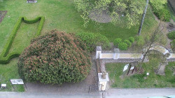 Veselíčko - zahrada u zámku