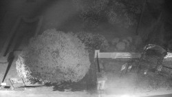 Veselíčko - zahrada u zámku