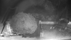 Veselíčko - zahrada u zámku