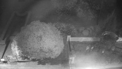 Veselíčko - zahrada u zámku