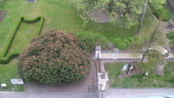 Veselíčko - zahrada u zámku