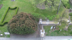 Veselíčko - zahrada u zámku