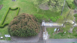 Veselíčko - zahrada u zámku