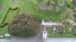 Veselíčko - zahrada u zámku