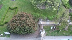 Veselíčko - zahrada u zámku