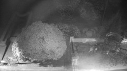 Veselíčko - zahrada u zámku