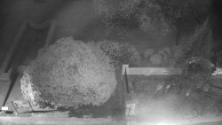 Veselíčko - zahrada u zámku