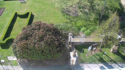 Veselíčko - zahrada u zámku