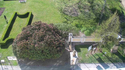 Veselíčko - zahrada u zámku