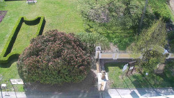 Veselíčko - zahrada u zámku