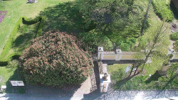 Veselíčko - zahrada u zámku