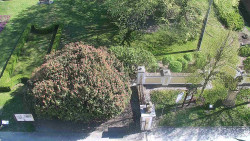 Veselíčko - zahrada u zámku