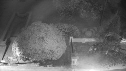 Veselíčko - zahrada u zámku