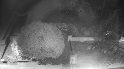 Veselíčko - zahrada u zámku