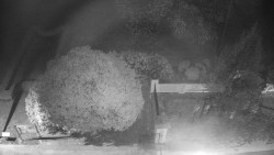 Veselíčko - zahrada u zámku