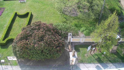 Veselíčko - zahrada u zámku