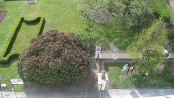 Veselíčko - zahrada u zámku