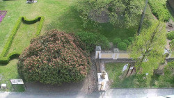 Veselíčko - zahrada u zámku