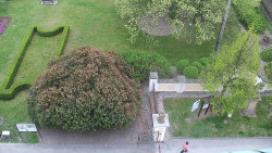 Veselíčko - zahrada u zámku