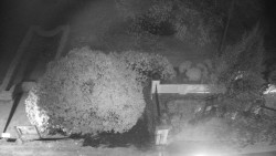 Veselíčko - zahrada u zámku