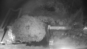 Obec Veselíčko - Veselíčko - zahrada u zámku - 20.4.2026 v 00:00 Obec Veselíčko - Veselíčko - zahrada u zámku - 20.4.2026 v 00:00