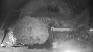 Obec Veselíčko - Veselíčko - zahrada u zámku - 20.4.2026 v 02:30 Obec Veselíčko - Veselíčko - zahrada u zámku - 20.4.2026 v 02:30