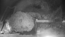 Veselíčko - zahrada u zámku