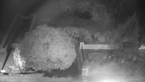 Obec Veselíčko - Veselíčko - zahrada u zámku - 20.4.2026 v 03:00 Obec Veselíčko - Veselíčko - zahrada u zámku - 20.4.2026 v 03:00