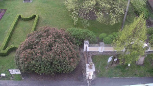 Obec Veselíčko - Veselíčko - zahrada u zámku - 20.4.2026 v 06:00 Obec Veselíčko - Veselíčko - zahrada u zámku - 20.4.2026 v 06:00