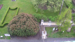 Veselíčko - zahrada u zámku