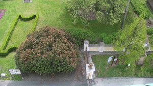 Obec Veselíčko - Veselíčko - zahrada u zámku - 20.4.2026 v 12:30 Obec Veselíčko - Veselíčko - zahrada u zámku - 20.4.2026 v 12:30