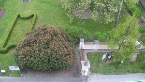 Obec Veselíčko - Veselíčko - zahrada u zámku - 20.4.2026 v 16:00 Obec Veselíčko - Veselíčko - zahrada u zámku - 20.4.2026 v 16:00