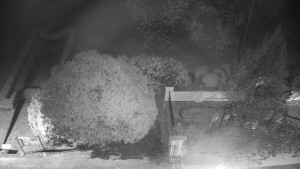 Obec Veselíčko - Veselíčko - zahrada u zámku - 20.4.2026 v 21:30 Obec Veselíčko - Veselíčko - zahrada u zámku - 20.4.2026 v 21:30