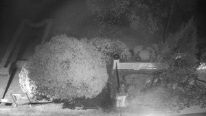 Obec Veselíčko - Veselíčko - zahrada u zámku - 20.4.2026 v 23:30 Obec Veselíčko - Veselíčko - zahrada u zámku - 20.4.2026 v 23:30