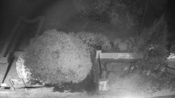 Veselíčko - zahrada u zámku