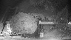 Veselíčko - zahrada u zámku