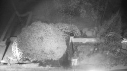 Veselíčko - zahrada u zámku