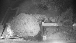 Veselíčko - zahrada u zámku