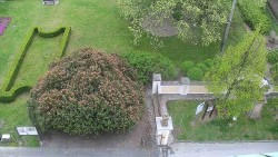 Veselíčko - zahrada u zámku