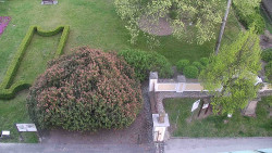 Veselíčko - zahrada u zámku