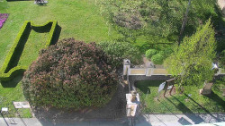 Veselíčko - zahrada u zámku