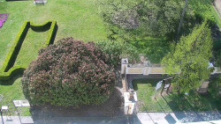 Veselíčko - zahrada u zámku