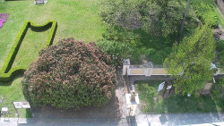 Veselíčko - zahrada u zámku