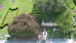 Veselíčko - zahrada u zámku