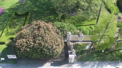 Veselíčko - zahrada u zámku