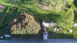 Veselíčko - zahrada u zámku